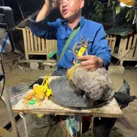 3中国大陆包装樱桃鸡