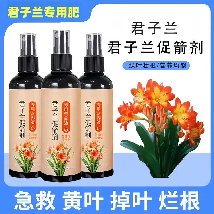 【急救黄叶】君子兰营养液叶子发黄烂叶烂根促箭催开花免稀释