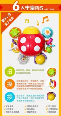 可可狮  爬行瓢虫