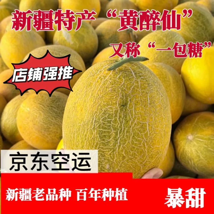 新疆哈密瓜“黄醉仙”又称“一包糖” 香味浓郁