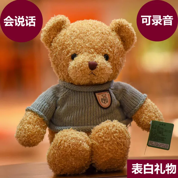 录音泰迪熊毛绒玩具会说话公仔布娃娃可爱抱抱熊玩偶女生新年礼物