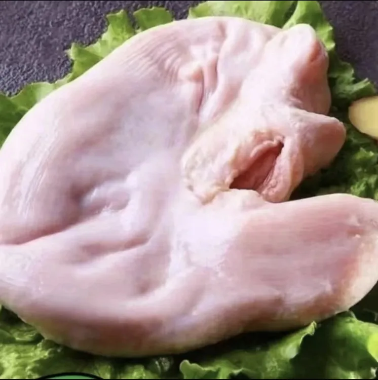 大别山农户黑猪猪肚