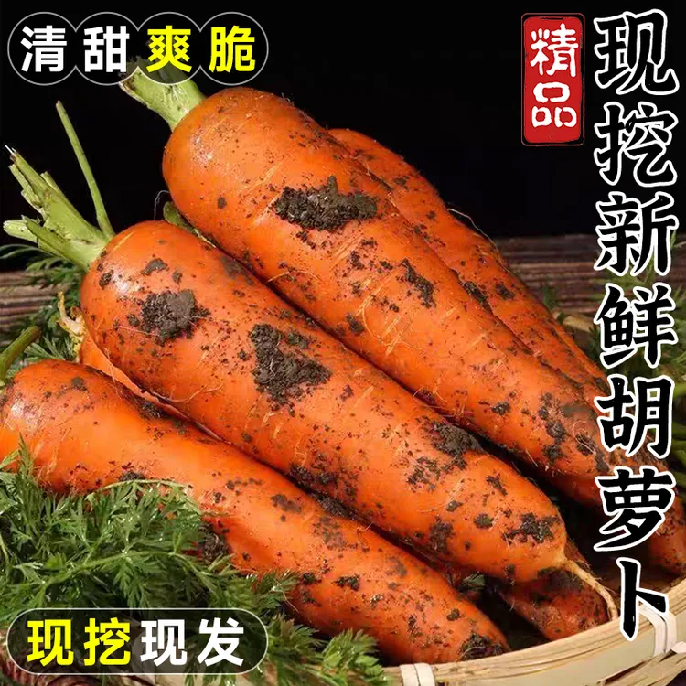 老品种胡萝卜农家自种胡萝沙地胡萝卜新鲜带泥甜脆水果型胡萝卜