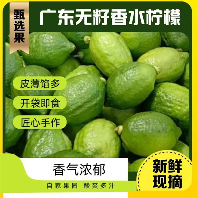 【广东香水柠檬靓果3斤】果园现摘直发奶茶店适用新鲜多汁果香浓郁