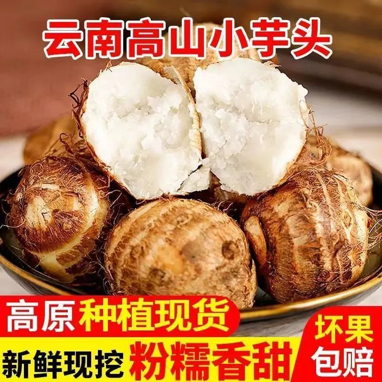 正宗贵州牛奶芋头芋艿新鲜蔬菜现挖农家毛芋贵州当季白芽香芋批发