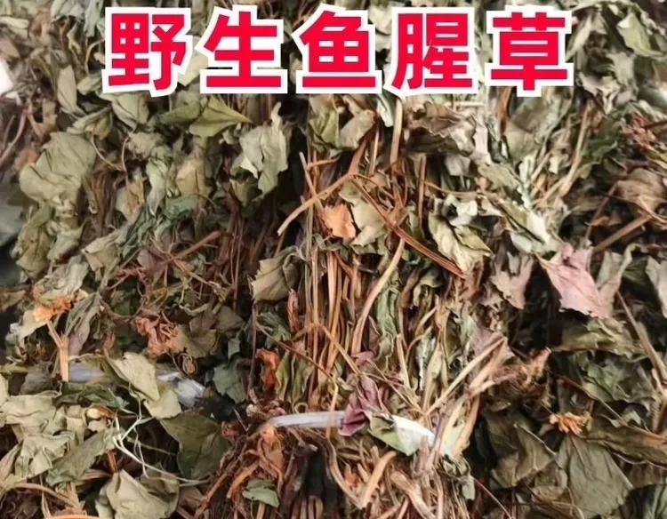 鱼腥草中草药250g折耳根农家干货野生养生茶500g客家特色夏季凉茶