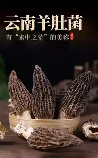 云南日晒头茬羊肚菌 厚肉纹理清晰 手工精选7-9公分 250g