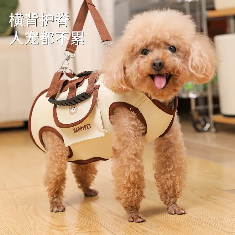 宠物外出狗狗猫咪便携手提单肩包可牵引卡通透气多功能猫包斜跨包