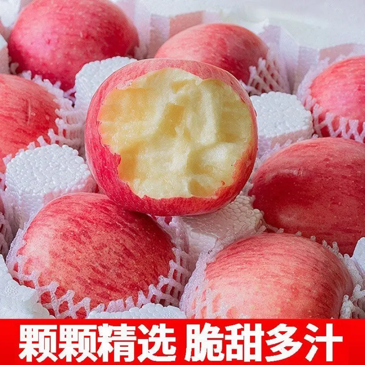 农户果园手工挑选精品寒富苹果大个头