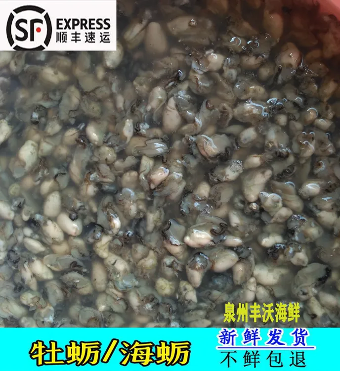 福建小海蛎当天鲜活现拨去壳牡蛎肉海蛎小生蚝肉斤海鲜卤面蚵仔煎