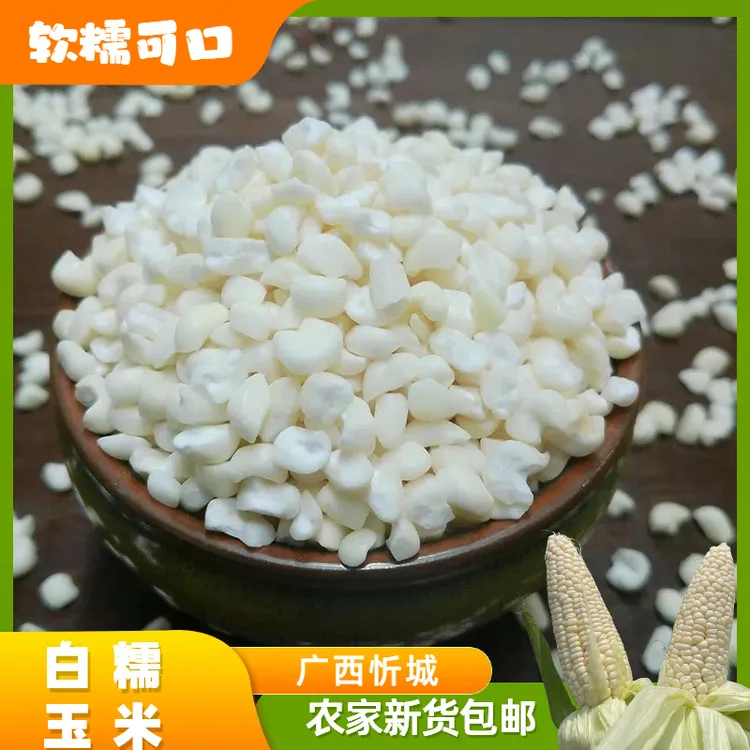 广西忻城珍珠糯玉米头白玉米干粒脱皮煮粥糖水玉米碴子餐饮新玉米