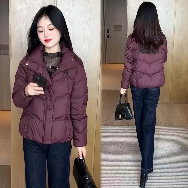 反季秋冬新款棉服短款外套修身显瘦气质立领小棉袄大码棉服