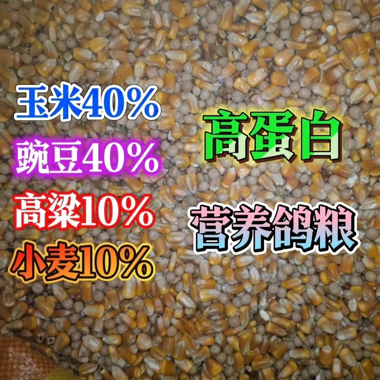 高蛋白克星营养鸽粮包邮鸽子黄鼠狼玄凤鹦鹉黄鼠狼最怕三种克星