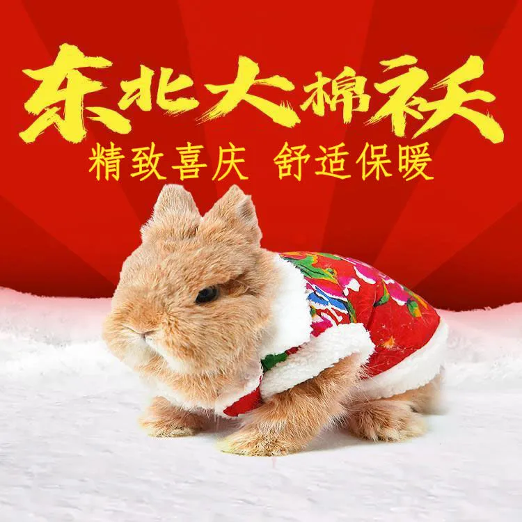 兔兔东北大花袄加厚可爱碎花超厚外穿荷兰猪龙猫宠物猫咪衣服