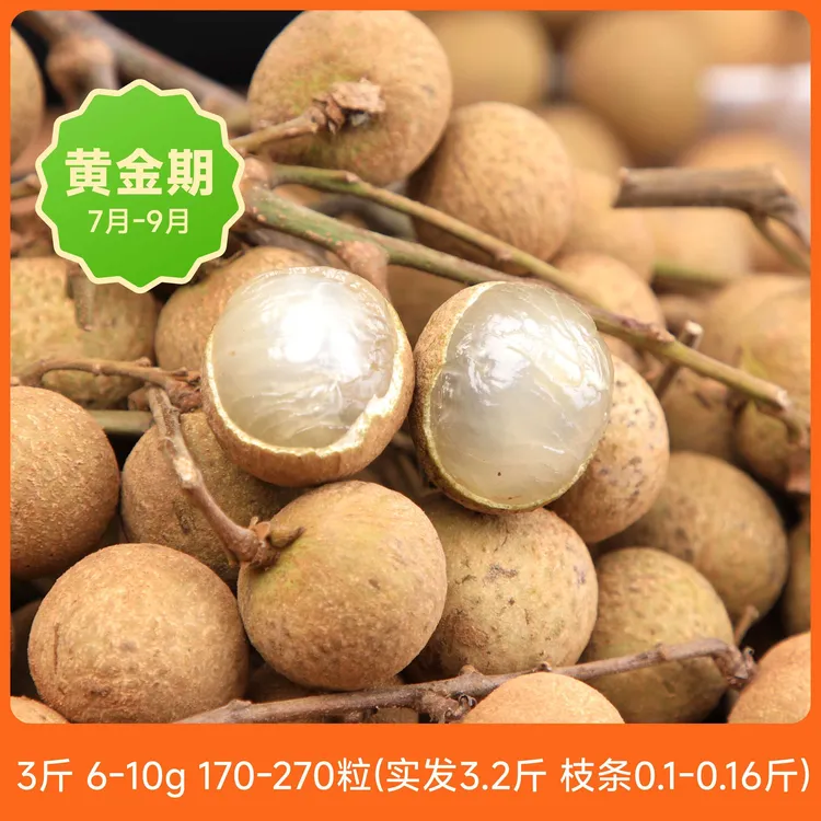 广东高州新鲜石硖龙眼现摘现发清甜多汁肉厚饱满当季水果