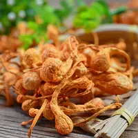 虫草花孢子头 【买100g送100g,买200g送200g】   