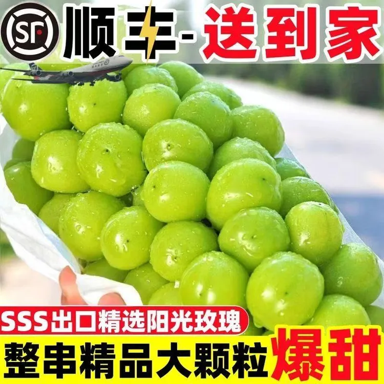 【顺丰包邮】精选大颗粒阳光玫瑰葡萄