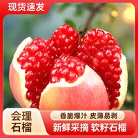【毛毛姐专属】四川会理软籽石榴新鲜当季水果爆汁饱满多汁