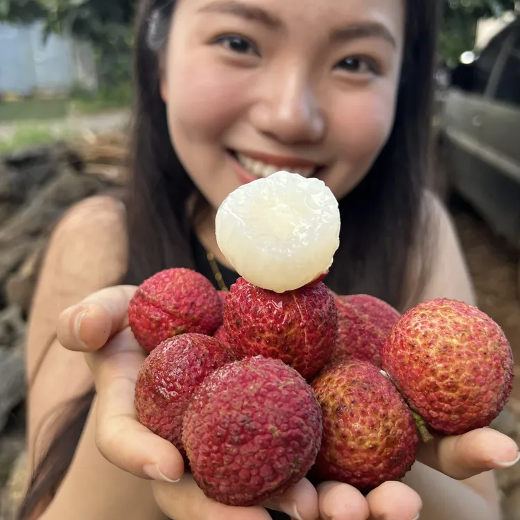 【香甜嫩不酸涩】海南火山岩无核荔枝皮薄多汁新鲜不泡药水顺丰空运