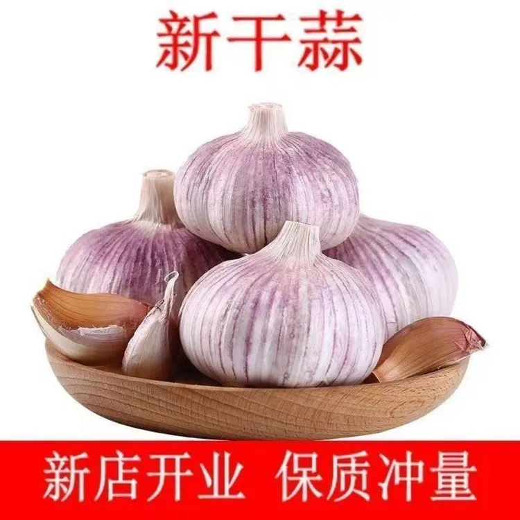 【低价冲量】干蒜农家干大蒜山东特大果紫白皮十足干蒜可吃可种蒜头