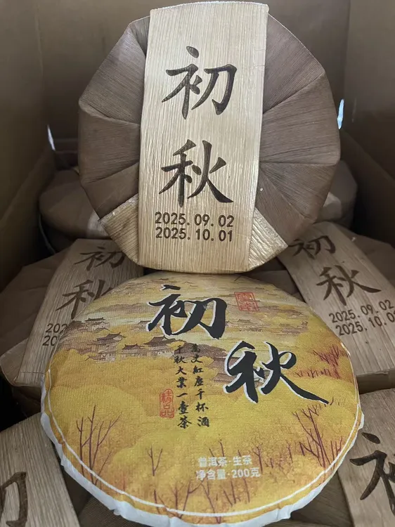 2025年秋茶古中树混采