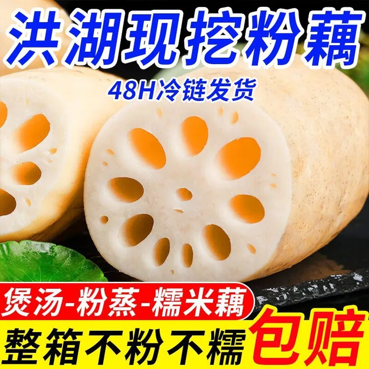 【粉爆了】湖北洪湖今年新粉藕莲藕煲汤专用农家当季新鲜整箱批发