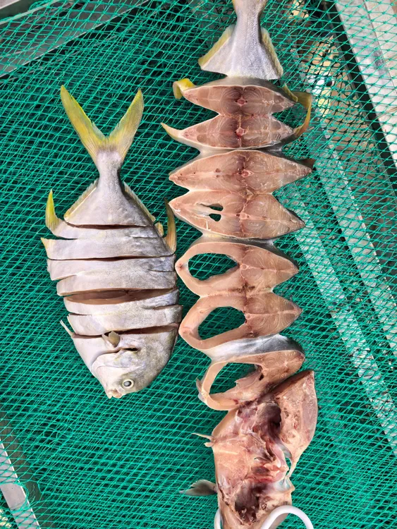 【可可妈海味】淡晒金鲳鱼干  6条装