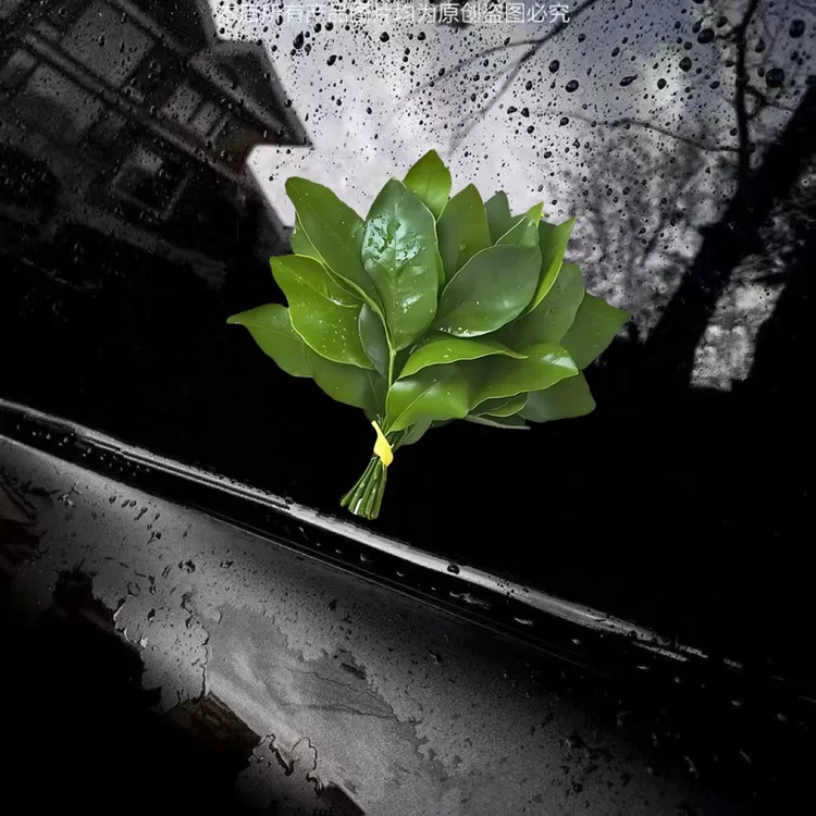 有趣个性好运碌柚叶汽车车窗贴纸赶走晦气寓好意车窗装饰防水贴画