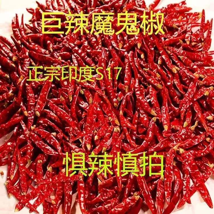 【S17印度椒】印度魔鬼辣魔鬼椒段辣椒段巨辣微辣干辣椒变态辣椒