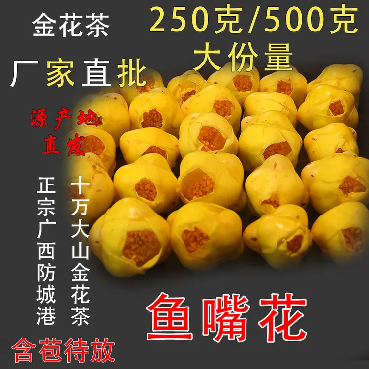 【厂家直营】金花茶鱼嘴花 正宗广西防城港十万大山金花茶金嘴鱼花