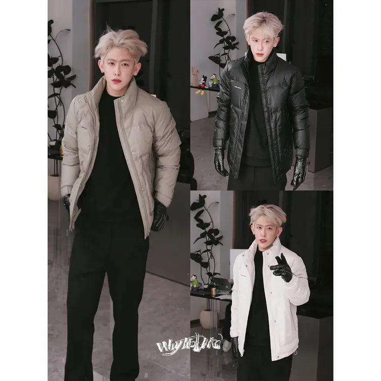 序77冬季新款 拒水白鸭绒暗纹立领羽绒服男短款外套