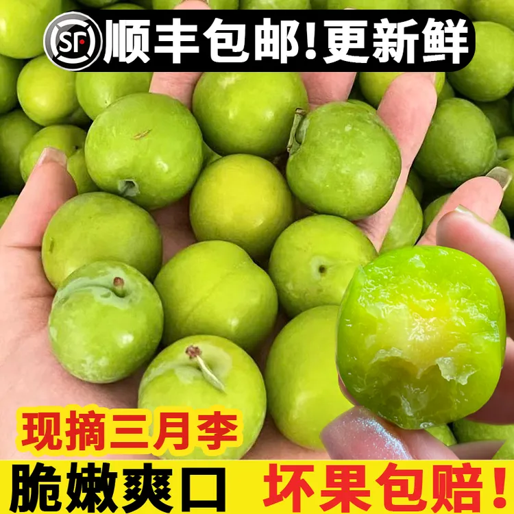 【顺丰】潮汕大妈正宗三月李大果李子新鲜当季酸脆三华李孕妇水果商品图