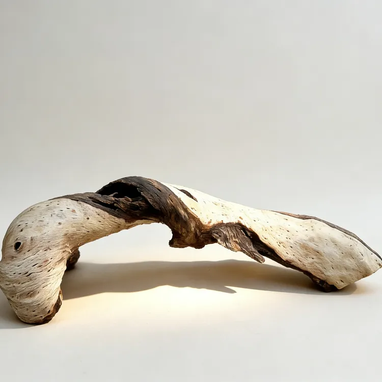 紫柚木沉木鱼缸造景南美原生素材双拼色一木成景