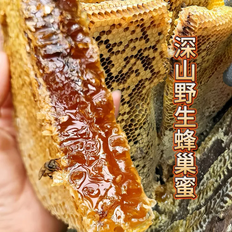 秦岭深山野生蜂巢蜜1盒*500g  