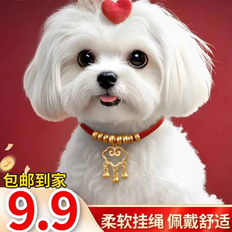 【9·9包邮到家】品质好物宠物小金锁升级可调节高颜值平安锁猫狗商品图