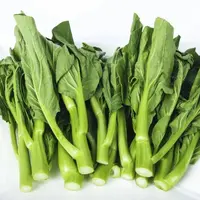 【猴瘦瘦农场】新鲜菜心三斤装