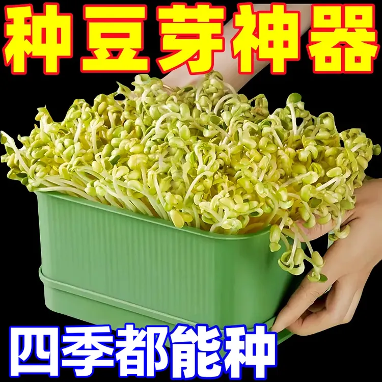 豆芽盆家用发芽豆芽机豆芽菜盘水培育苗盆家庭阳台种植蔬菜发芽盆