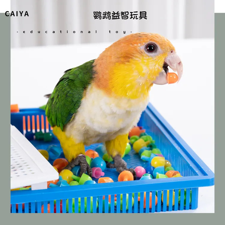 鹦鹉蘑菇钉玩具盘玄凤牡丹专业益智解闷自嗨啃咬互动训练小鸟玩具
