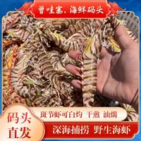 【码头价斑节虾】汕尾本港码头野生斑节虾深海现捕 8-10条/盒发2盒 