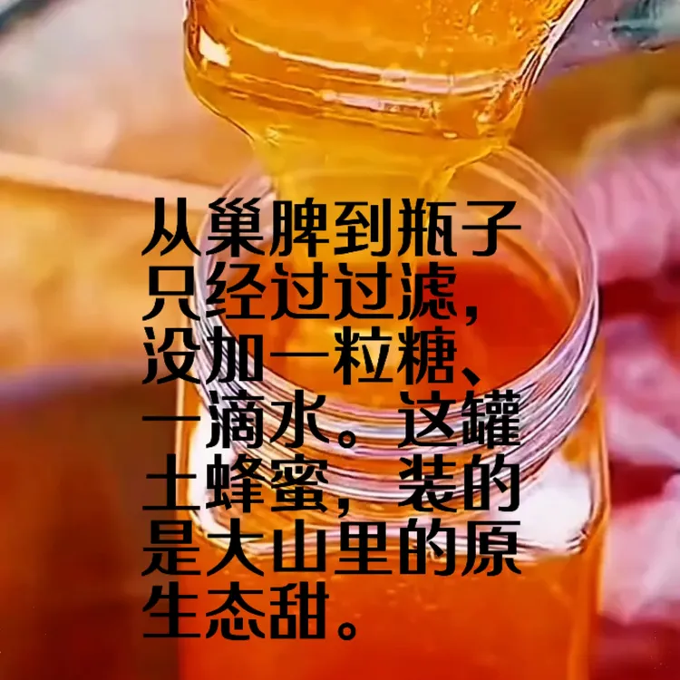 大山里的“黄金蜜”：一年只取一次的土蜂蜜，甜过初恋
