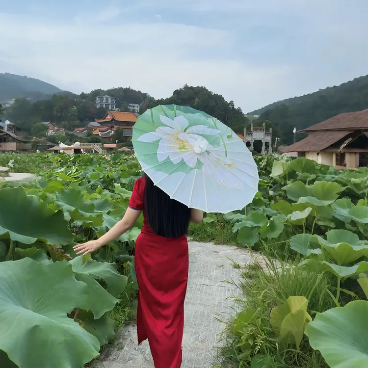 中式国风荷花油纸伞旗袍中国风汉服拍摄创意国风摄影道具伞