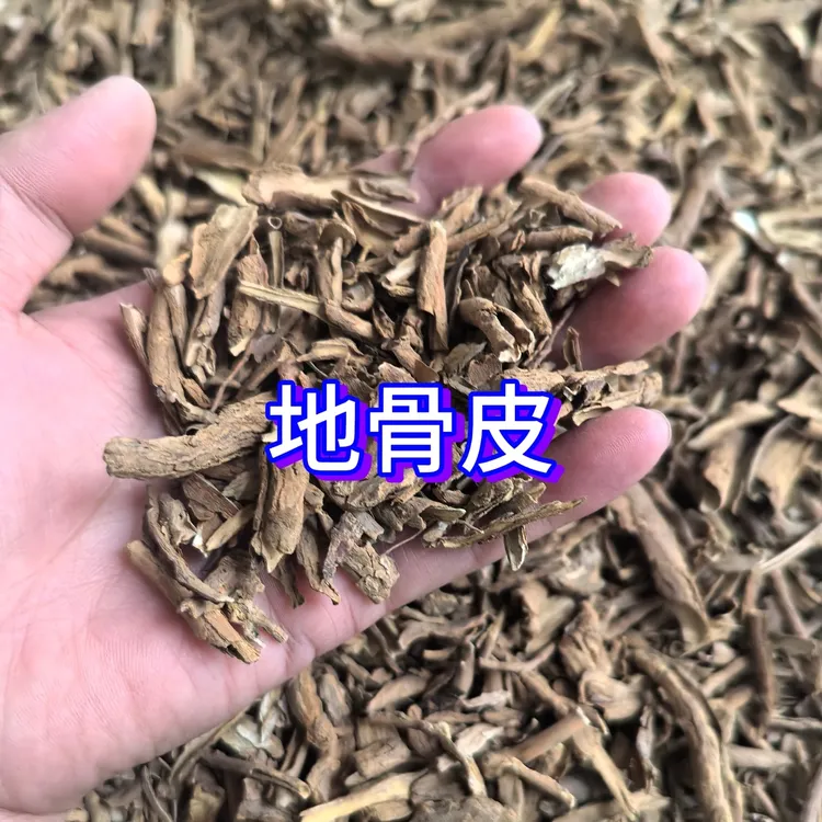 地骨皮无添加干净原色味重枸杞根皮搭配咱家绞股蓝对付糖糖非常好
