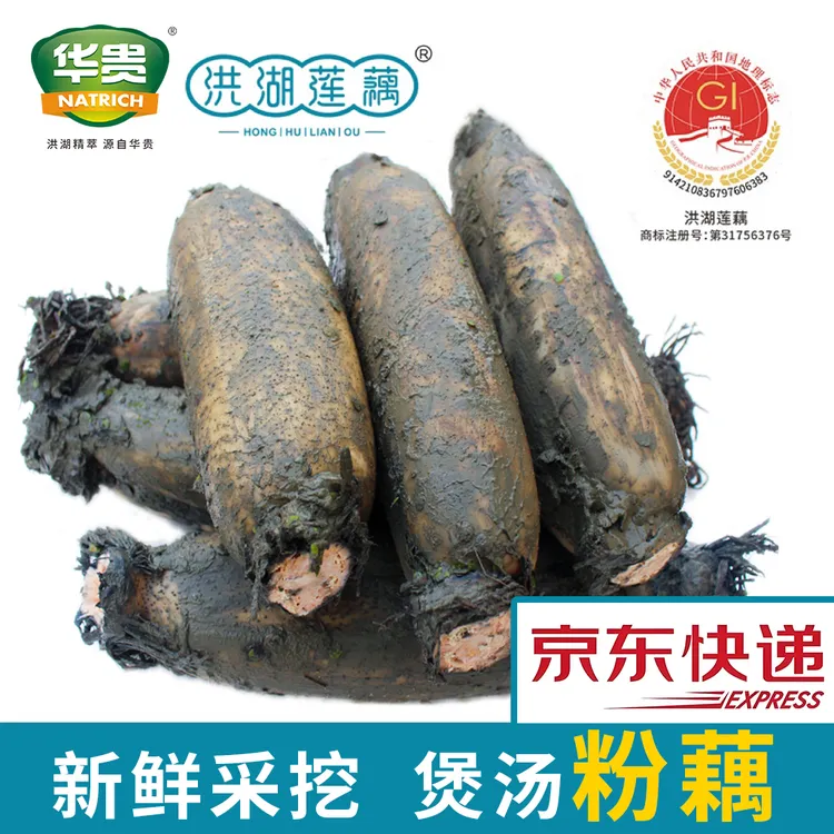 【洪湖粉藕】华贵洪湖正宗莲藕煲汤粉藕三斤/五斤带泥冷链包邮