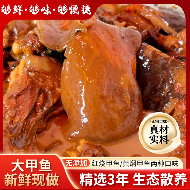 红烧甲鱼（外塘三年大甲鱼）鲜活现烧加热即食营养美味