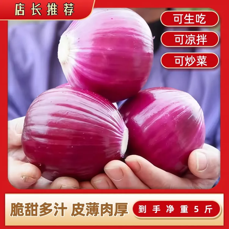 【脆甜水果洋葱】山东直发生吃微辣紫皮洋葱优质农产品正宗扁洋葱