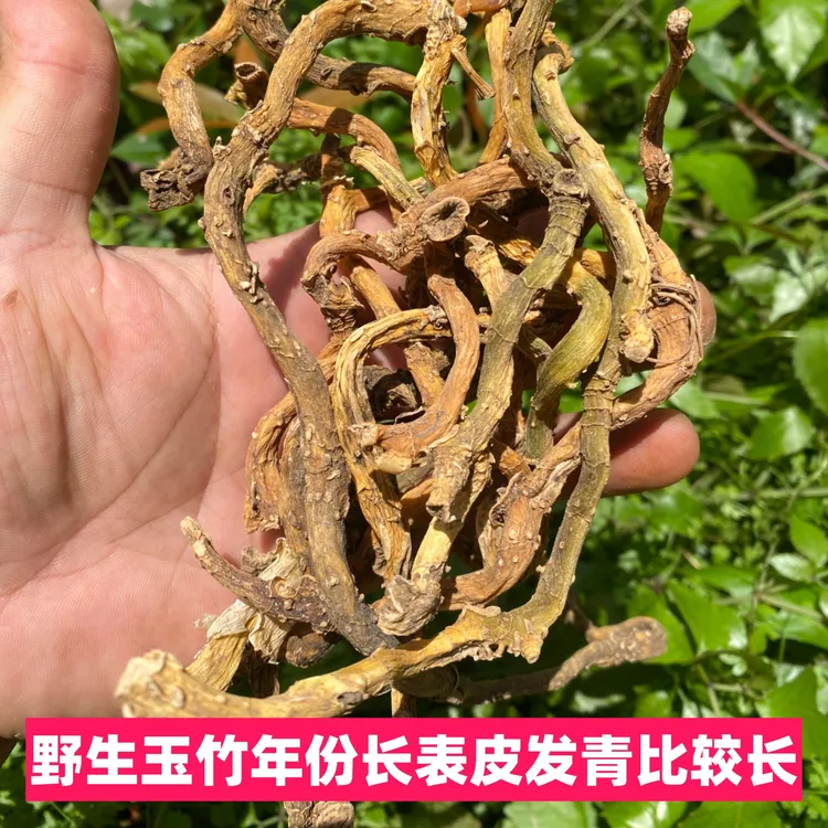 玉竹野生高年份玉竹玉竹老鸭煲玉竹沙参汤整条发货泡水