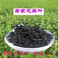 芝麻叶新货干芝麻叶农家晾晒河南特产