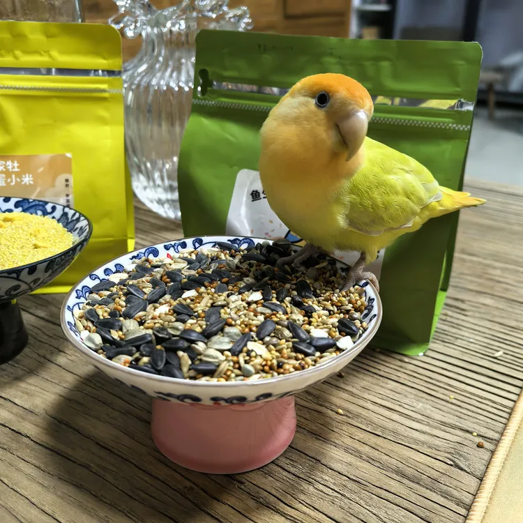 牡丹玄凤专用混合粮（鸟房同款粮）