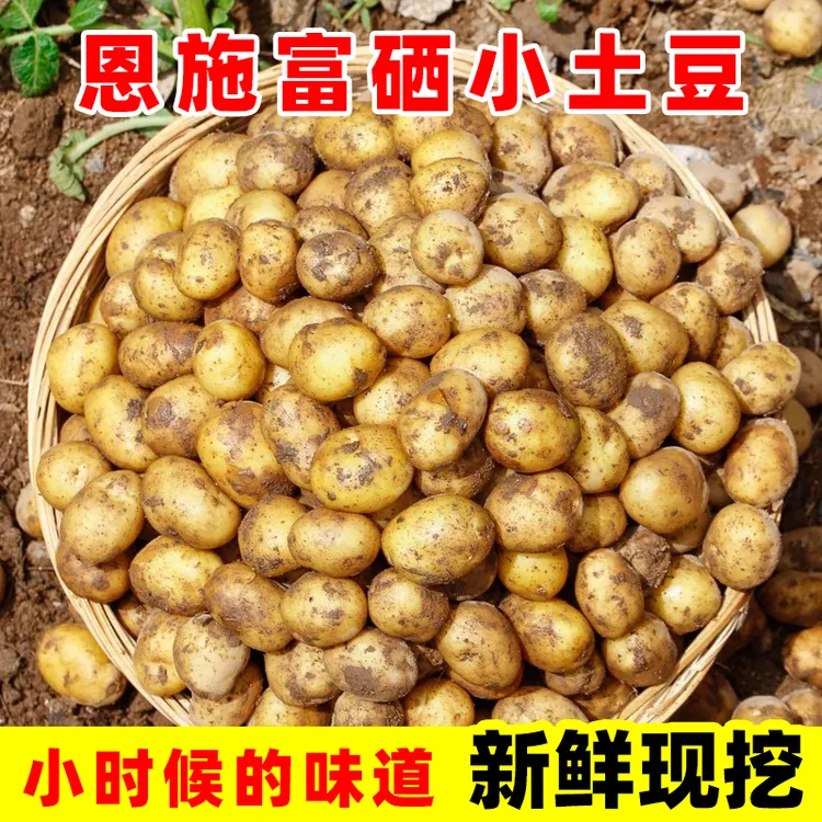 湖北恩施新鲜小土豆现挖黄皮黄心土豆马铃薯粉糯洋芋农家自种