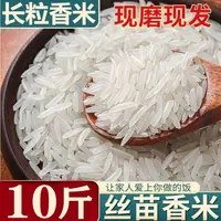 2025优质大米丝苗米5kg家庭装10斤一袋农家晚稻饭店粮食米饭